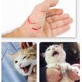 thumbnail image 5 of nipocaio Masque pour Chat Casque pour Chat Masque pour Chat Casque de Beauté pour Animaux Masque pour Chat Réglable Transparent Respirant Masque pour Chat (L), 5 of 5