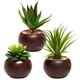 thumbnail image 1 of Plantas suculentas artificiales MyGift con macetas redondas de cerámica, 1 of 7