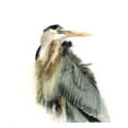 thumbnail image 3 of Shefranov, Olga 15x18 Black Modern Framed Museum Art Print Titled - Wildling, 3 of 5