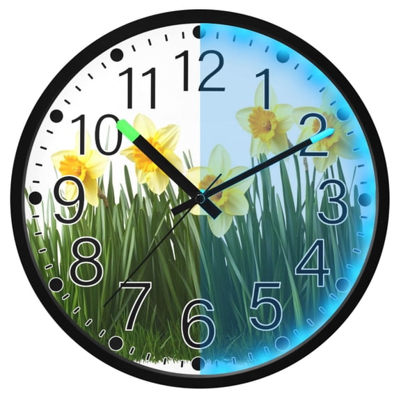 Ryvnso Flower 12 Inch Night Light Wall Clock Silent Battery Operated Luminous Clocks