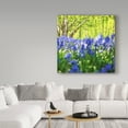 thumbnail image 3 of Trademark Fine Art 'Spring Square' Canvas Art by Beata Czyzowska Young, 3 of 3
