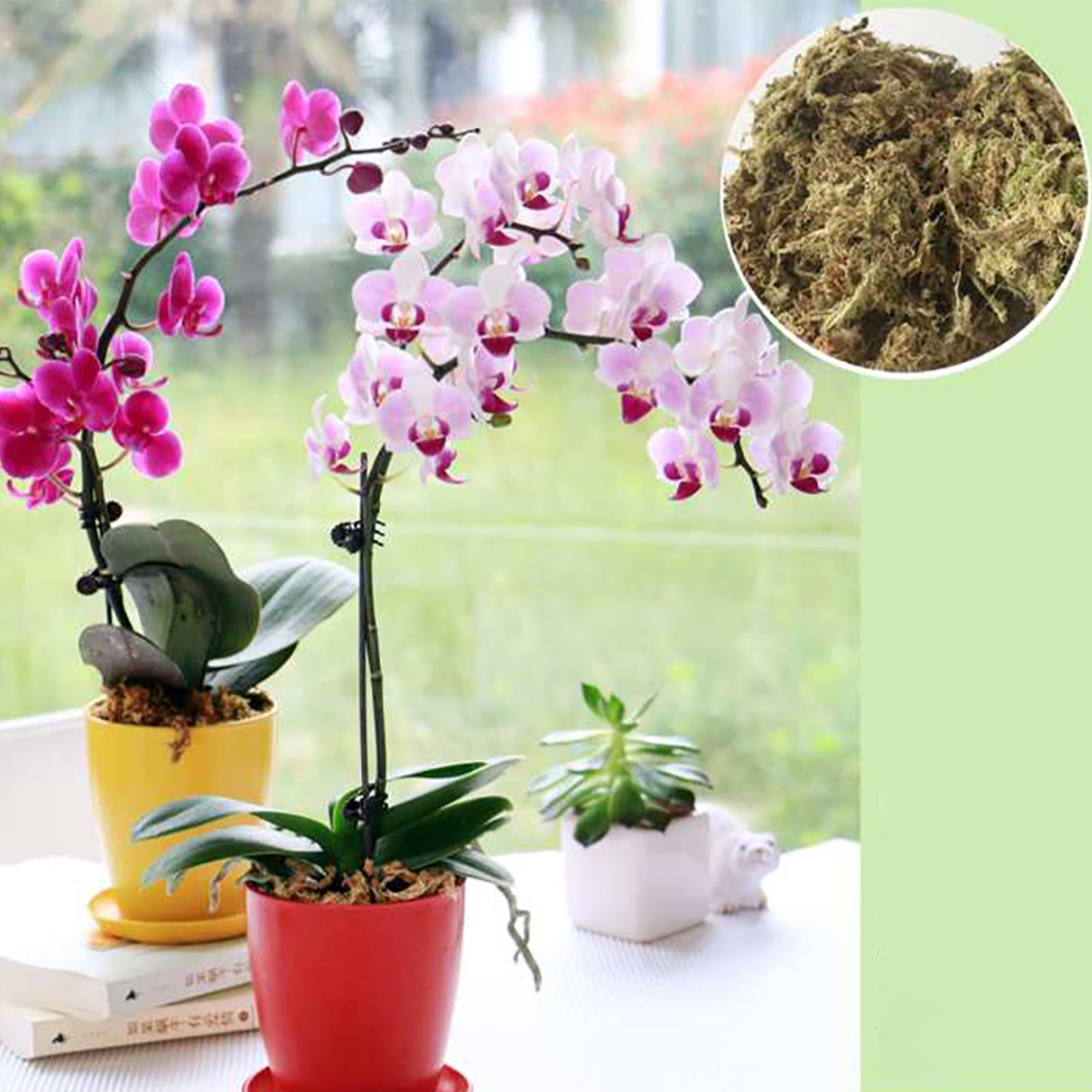 6/12L Garden Supply Sphagnum Moss Bryophyte Phalaenopsis Soil Orchid DIY Yard 