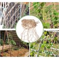 thumbnail image 7 of Jute Plant Support Netting,Bexikou 1.8m*2m Garden Pea Bean Net,Eco-Friendly Climbing Plant Trellis Rope Netting,Natural Twine Net for Garden Bean Fruits Climbing Plants Sweet Peas, 7 of 7