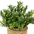 thumbnail image 4 of Northlight Milan Leaf Artificial Mini Bush In Rattan Basket - 7", 4 of 7