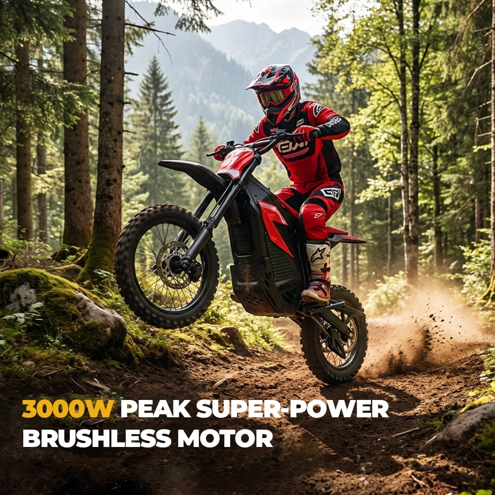Electric Dirt Bike, 3000W, 38MPH & 30 Miles, 48V/23.4AH Removable Battery, 14"/12" Tire, Full Suspension, Mountain Off-Road E Dirt Bike for Adults & Teens