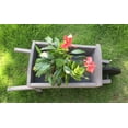 thumbnail image 2 of Seny Cute Wheelbarrow Style Garden Planter 100% Wood Garden Bed Box with Wheels Outdoor, 2 of 3
