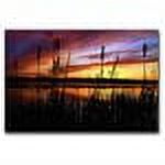 Trademark Art "Principles" Canvas Art by CATeyes
