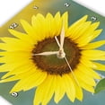 thumbnail image 4 of 3drose, Usa, California, Napa Valley. Close up of Sunflower., 13x13 Wall Clock, 4 of 9