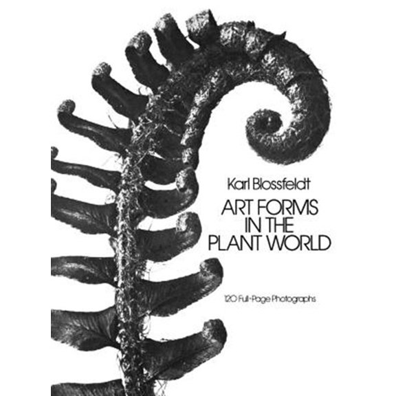 Pre-Owned Art Forms in the Plant World (Paperback) 0486249905 9780486249902