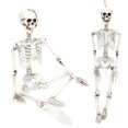 thumbnail image 4 of Terrifying Skull Decoration, Exquisite Resin Skeleton, Party Decor For Cemetery Scene House Halloween S,M,L, 4 of 8