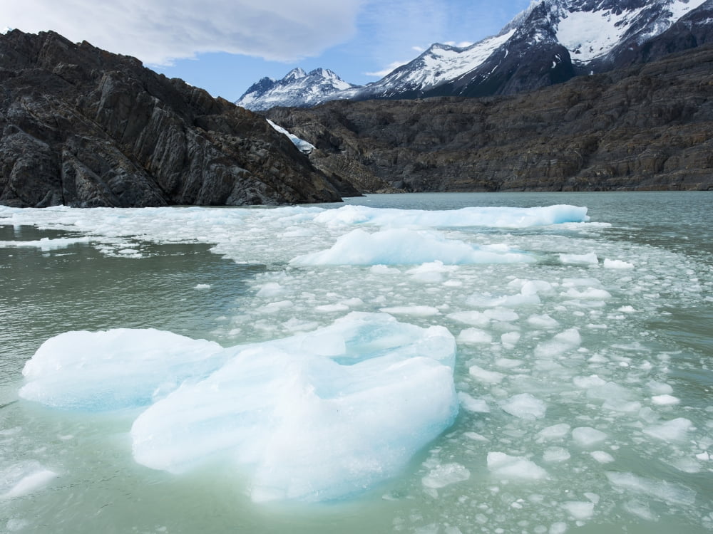 Southern Patagonian
