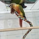 thumbnail image 3 of Perchas de cuerda para pájaros, juguetes para loros, cuerda elástica, juguete para pájaros, 1m, 3 of 8