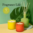 thumbnail image 4 of Difusor Reed LAFCO New York Signature Rosemary Eucalyptus, 450 ml, 4 of 6