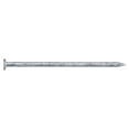 thumbnail image 1 of Hillman Fasteners 461314 1.5 in. x 4D- Galvanized Box Nails., 1 of 1