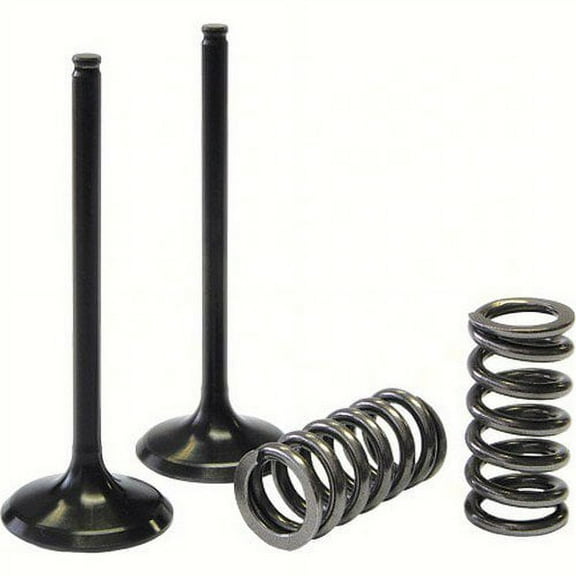 ProX  28.SIS3405-2; Steel Intake Valve / Spring Kit