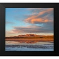 thumbnail image 2 of Fitzharris, Tim 13x12 Black Modern Framed Museum Art Print Titled - Crane Pool at Bosque del Apache NWR -NM, 2 of 5