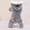 Gray, variant on The Elements of Musical Composition and Thoroughbase (Paperback)