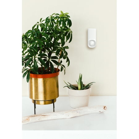 Kangaroo - Motion + Entry Sensor - White