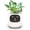 White, variant on Smart AI Planter with 7 Sensors and Multiple Expressions for Easy Indoor Gardening in Home or Office