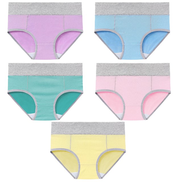 Paquete de 5 ropa interior de algodón de cintura alta y talla grande para chicas gorditas.