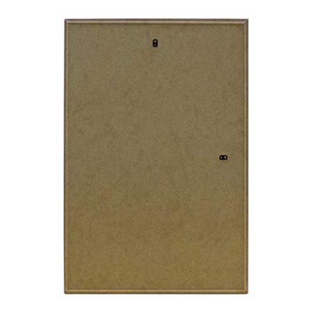 frame usa inch foamcore clear plastic poster silver gold