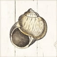 thumbnail image 3 of Gango Home Decor Coastal Shell Sketches Shiplap I & II by Wild Apple Portfolio (Ready to Hang); Two 12x12in White Framed Prints, 3 of 5