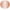 Rose Gold, variant on Color coding sticker label, Red stickers dots in 8mm 1/4" inch - 2020 Pack by Royal Green