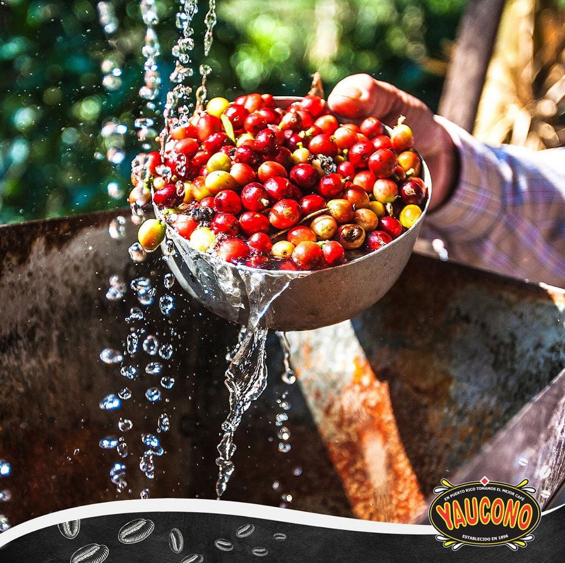 Yaucono Dark Roast Ground Coffee, 100% Arabica, 10 Ounce (Pack of 4)