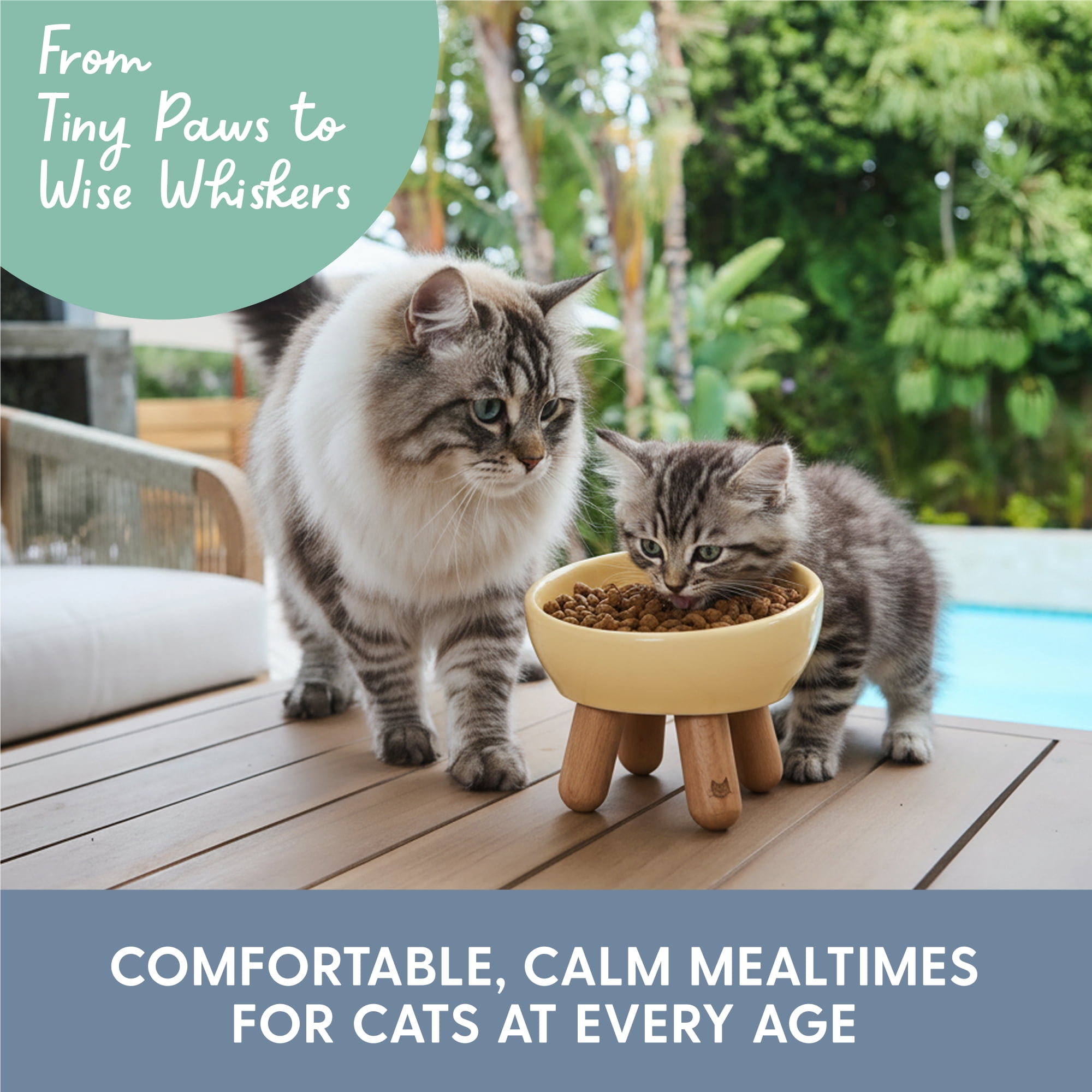 The Cat Ladies Tilted Ceramic Cat Bowl - Elevated Food Bowls Ceramic Pet Bowl - Raised Ceramics Bowls - Elevated & Tilted Design for Comfortable Eating - Yellow-