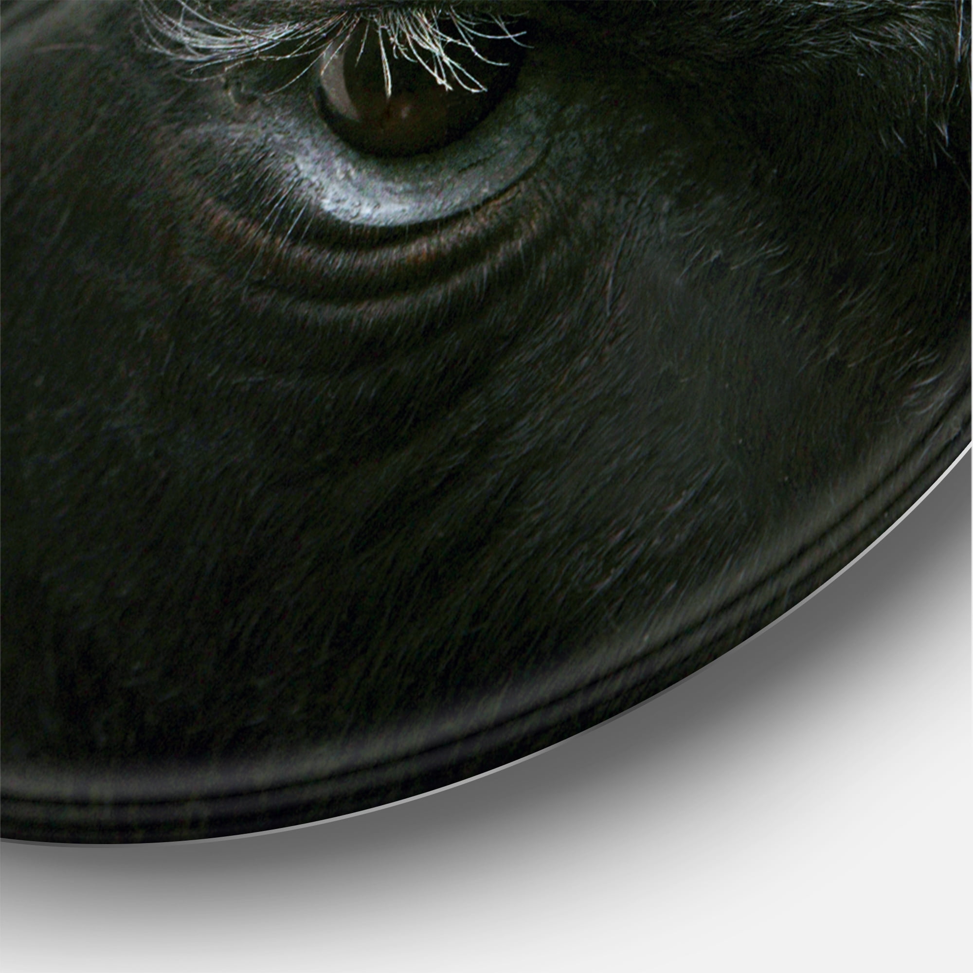 Designart 'Close-Up Of Eye Fighting Bull Head ' Farmhouse Circle Metal Wall Art 36x36 - Disc of 36