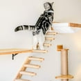 thumbnail image 3 of Cat Wall Shelves - Style B, 3 of 13