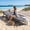 71in-Grey, variant on Howcool Patio Folding Chaise Lounge Bed, Ergonomic Single Reclining Cot, Portable Heavy Duty Outdoor/Indoor Folding Bed for Garden, Patio, Camping & Office