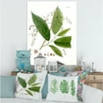 thumbnail image 2 of Designart ' Ancient Brazilian Plant I ' Traditional Canvas Wall Art Print, 2 of 4