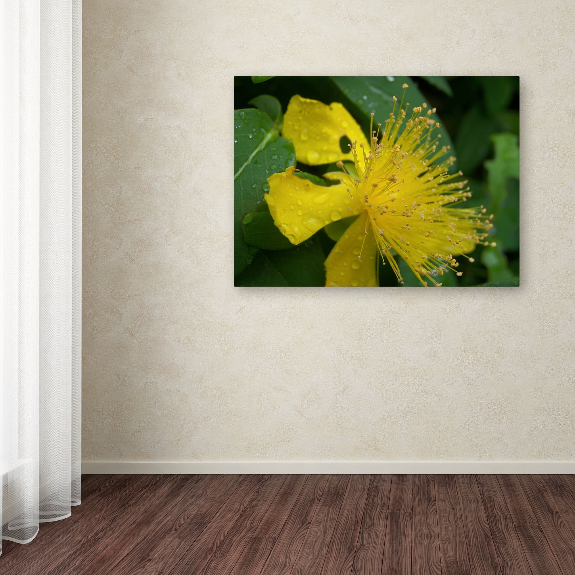 Trademark Fine Art "Mana" Canvas Art by Monica Fleet