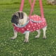 thumbnail image 1 of Bolsa Transpirable para Perros, Correas para Los Hombros, Bolsa para Mascotas, Bolsa de Viaje, Bolso para Conejo, Chihuahua, Perros Pequeños Y Mediano L Yinane Transportista de viaje, 1 of 7