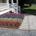 thumbnail image 3 of Artificial Lavender Flowers Plants 6 Pieces, Lifelike UV Resistant Fake Shrubs Greenery Bushes Bouqu, 3 of 5