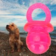 thumbnail image 2 of 5 pcs Pet Dogs Teether Teething Sounding TPR Pacifier Shaped Toy Dog Dummy Puppy Set Pacifier Shaped Pet Interactive Chew Toy[Red], 2 of 9