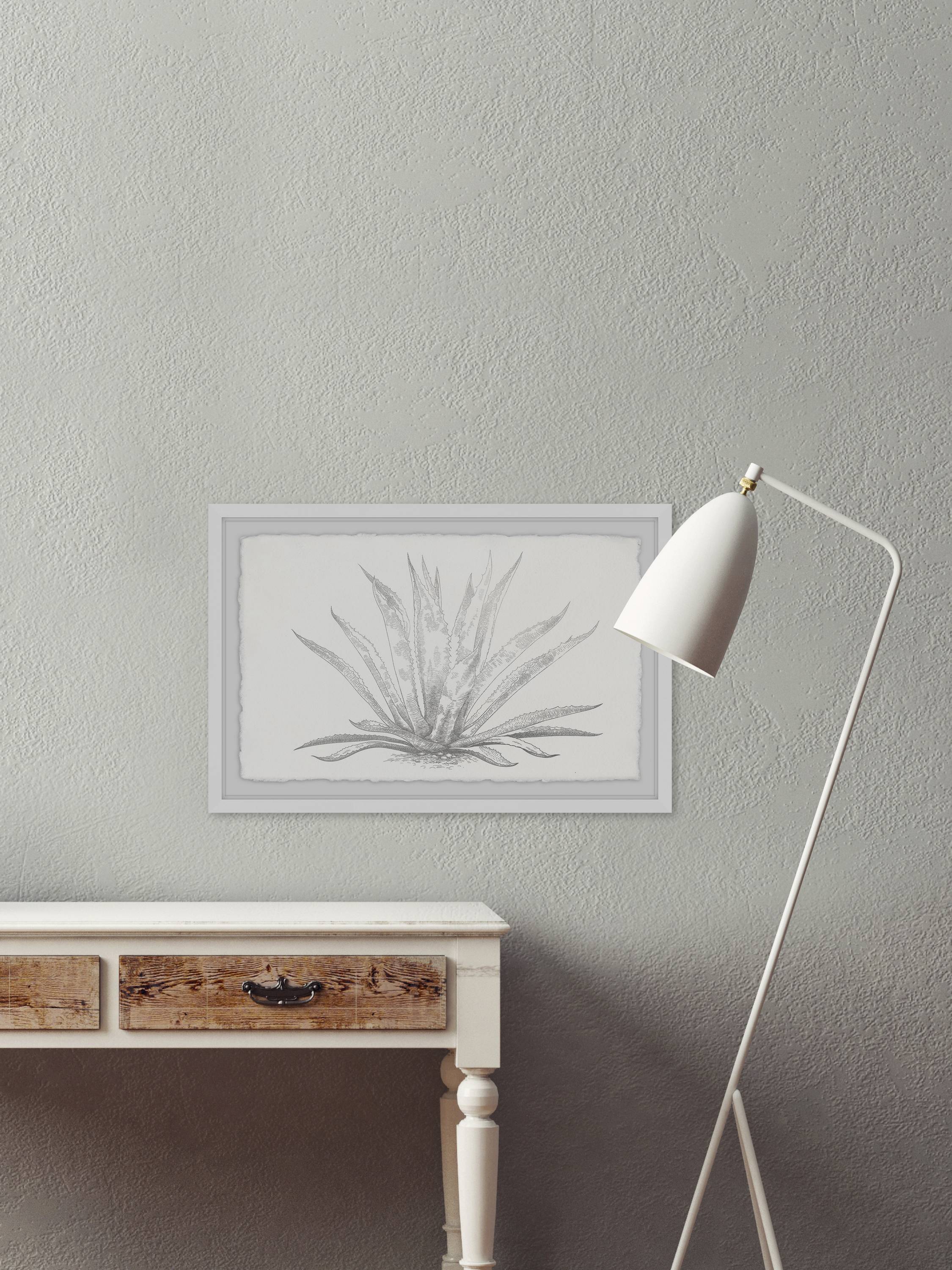Marmont Hill Agave Desmettiana II Framed Wall Art