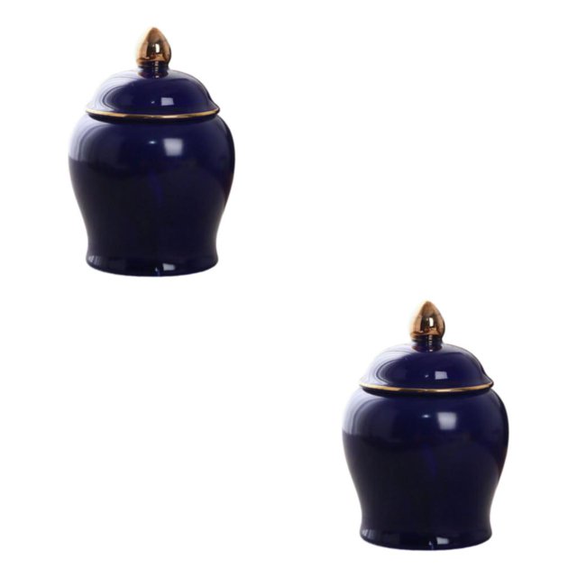 Cateissary Organizador de cocina, recipiente de almacenamiento de cerámica sellado, tarro de jengibre que ahorra espacio, contenedor de Armada 70ml 2Conjunto