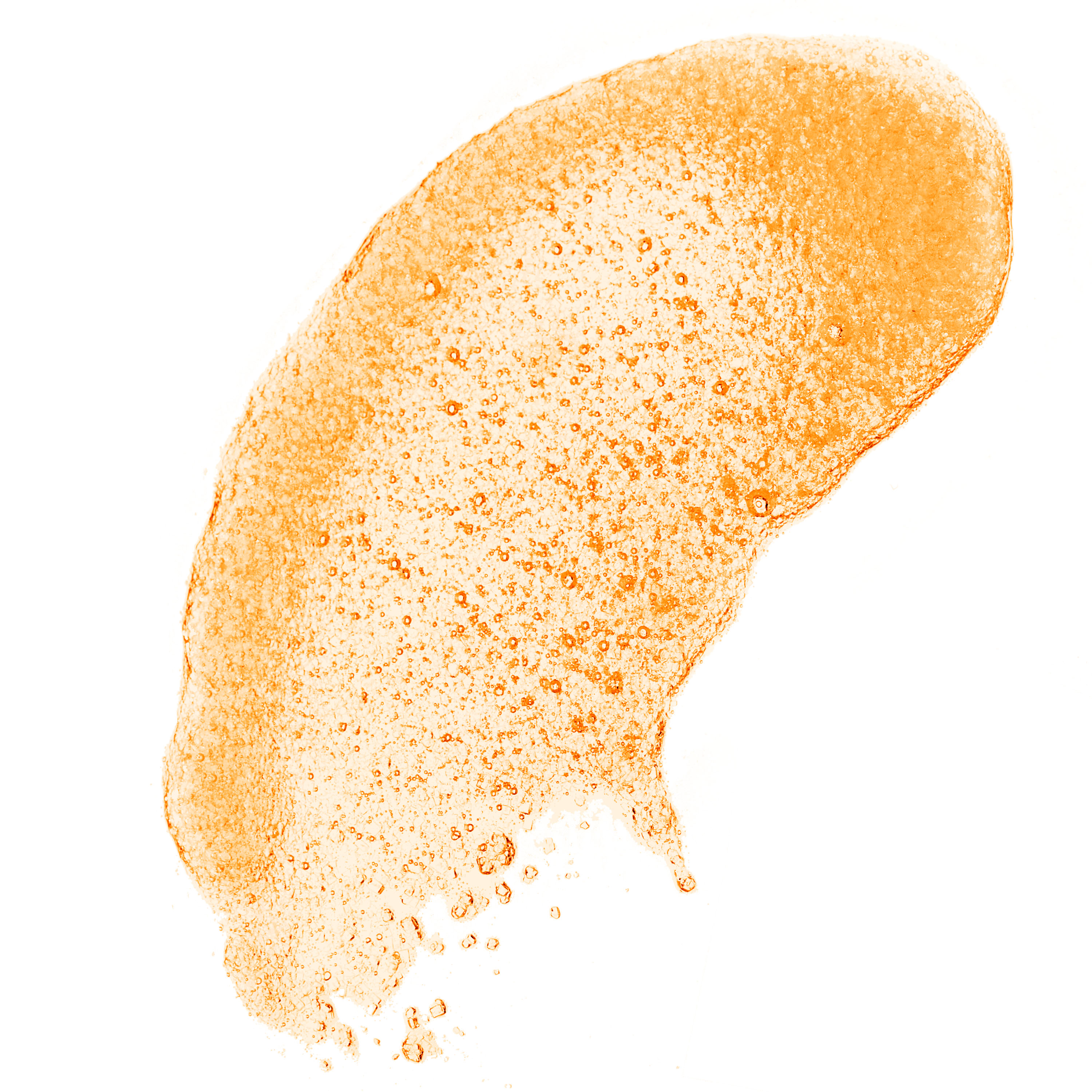 Equate Shea Sugar Scrub, Tropical Mango photo 4