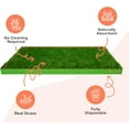 thumbnail image 2 of DoggieLawn XL - Real Grass Disposable Potty Training Puppy Pee Pads, Dog Grass Pee Pads, Potty Training Pee Pad, Puppy and Dogs Grass Pee Pads, Puppy Grass Pads, 48 x 24 Inches with Disposible Tray, 2 of 7