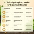 thumbnail image 4 of Suplemento Serene Herbs Paraclara Detox Intestinal 60 Cápsulas, 4 of 7