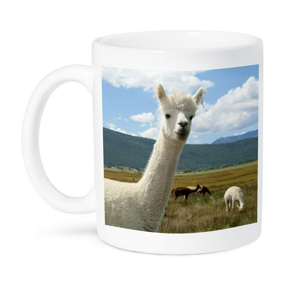 3dRose, Victory Ranch Alpaca farm, Mora, New Mexico - US32 JMR0359 - Julien McRoberts, 15oz Mug