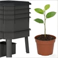 thumbnail image 2 of 4-Tray Worm Composter Bin, 2 of 8