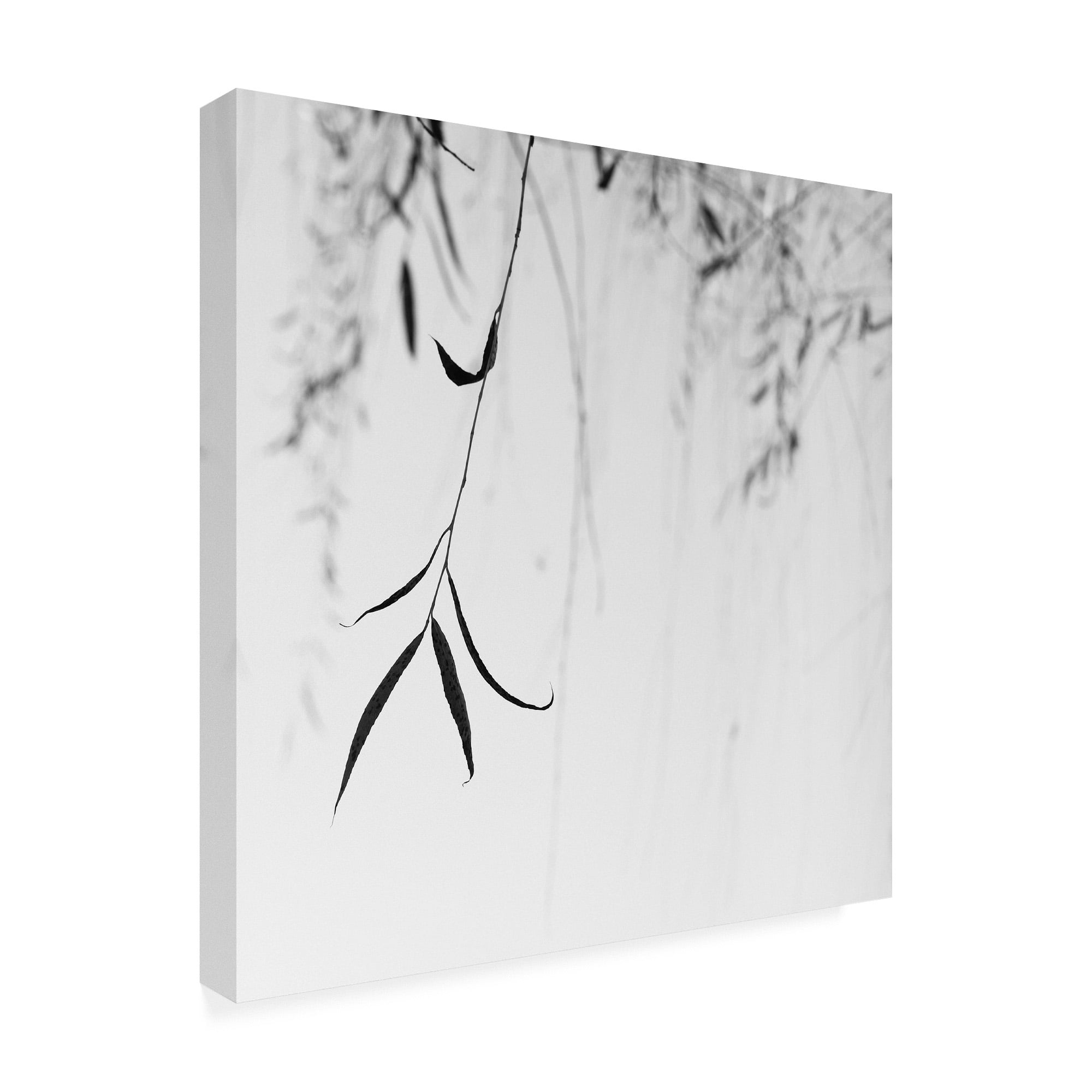 Trademark Fine Art 'Willow Print No. 1' Canvas Art by Nicholas Bel