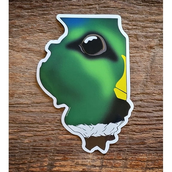 Illinois Mallard Duck Skin Sticker Decal