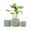 Light Green, variant on UMIAMOY Modern Cylinder Set of 3 Ceramic Flower Pots,5.7+7.0+8.6 inch Plant Pots with Drainage Holes and Saucer,Indoor Outdoor Planters for Home Patio Garden Decoration