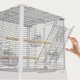 thumbnail image 2 of Jaula de pájaros de lujo for loros, nuevo tipo completo de pajarera y nido, 2 of 4