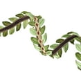 thumbnail image 2 of Vickerman 2.5" x 5 Yards Green Harvest Leaves Wired Edge Christmas Ribbon., 2 of 3