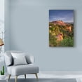 thumbnail image 3 of Trademark Fine Art 'Sunrise Over Roussillon Vertical' Canvas Art by Michael Blanchette Photography, 3 of 3